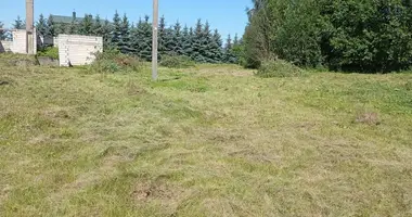 Terrain dans Ziezmariai, Lituanie
