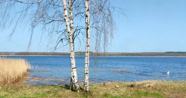 Terrain dans Svirski sielski Saviet, Bélarus