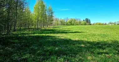Parcela en Eidukai, Lituania