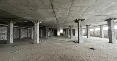 Almacén 4 000 m² en Moscú, Rusia