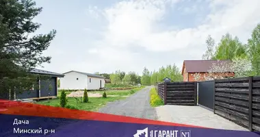 Dom w Bialarucki sielski Saviet, Białoruś