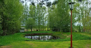 Haus in Zanaracki sielski Saviet, Belarus