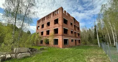 Plot of land in Piatryskauski sielski Saviet, Belarus