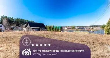 Plot of land in Papiarnianski sielski Saviet, Belarus