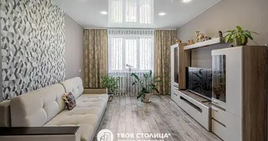 3 bedroom apartment in Minsk, Belarus