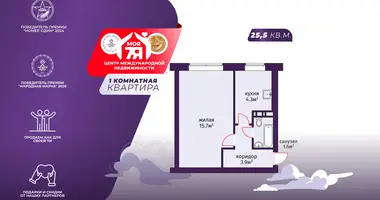 1 room apartment in Minsk, Belarus