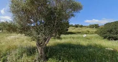 Plot of land in Zakynthos Municipality, Greece