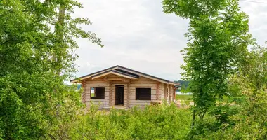 Дом в Домашковичи, Беларусь