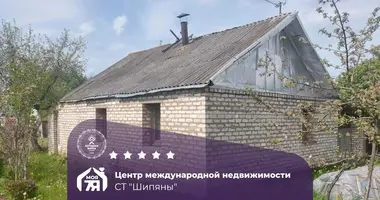 Maison dans Pliski sielski Saviet, Bélarus