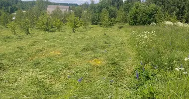 Участок земли в Путчинский сельский Совет, Беларусь