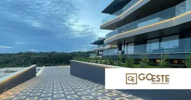 Apartamento 12 habitaciones en Opcina Dezanovac, Croacia