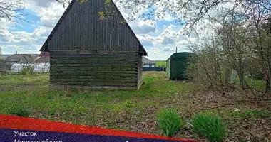 Участок земли в Пережирский сельский Совет, Беларусь