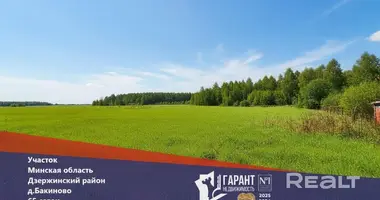 Plot of land in Barauski sielski Saviet, Belarus