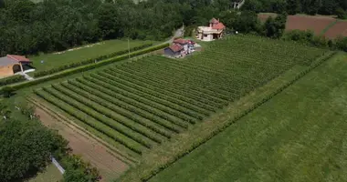 Oficina 300 m² en , Montenegro
