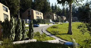 3 bedroom apartment in Kolasin, Montenegro
