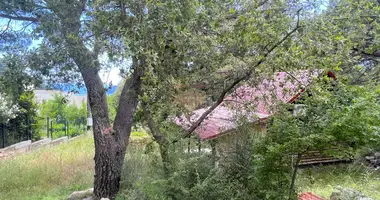 Propriété commerciale dans Monténégro