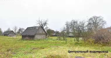 Plot of landin Shershunskiy selskiy Sovet, Belarus
