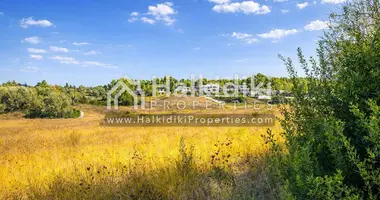 Plot of land in Kassandra Municipality, Greece