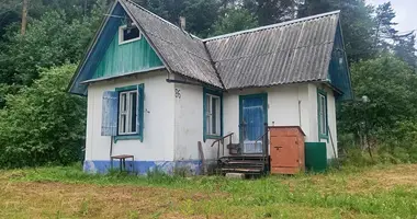 Dom w Krasnienski sielski Saviet, Białoruś