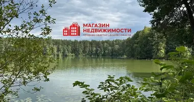 House in Parecki sielski Saviet, Belarus