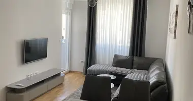 1 bedroom apartment in Montenegro