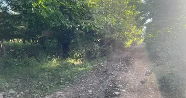 Terrain dans Misaktsieli, Géorgie