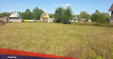 Grundstück in Nieharelski sielski Saviet, Belarus