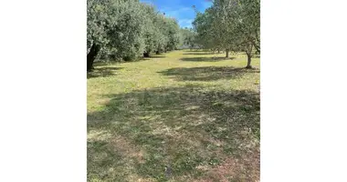Plot of land in Grad Biograd na Moru, Croatia