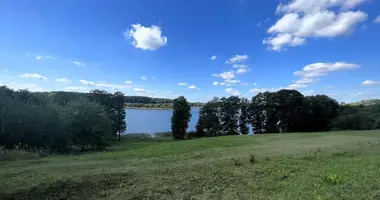 Grundstück in Bevirsiai, Litauen