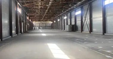 Lager 1 800 m² in Eremino, Russland