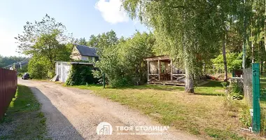 Dom w Holacki sielski Saviet, Białoruś