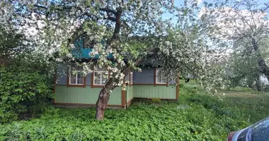 Plot of land in Zodzinski sielski Saviet, Belarus