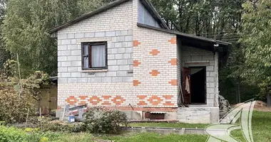 Maison dans Matykalski sielski Saviet, Bélarus