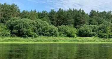 House in Andrejeuscynski sielski Saviet, Belarus