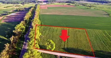 Plot of land in Guduline, Lithuania