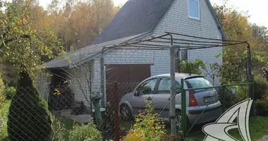 Haus in Vielikarycki sielski Saviet, Belarus