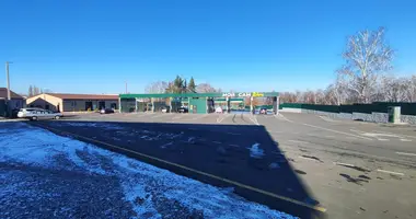 Producción 1 900 m² en Mazyr, Belarús