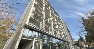 2 bedroom apartment in Tbilisi, Georgia