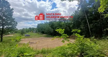 Plot of land in Hrodna, Belarus