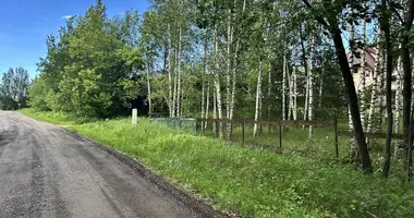 Дом в Колодищанский сельский Совет, Беларусь