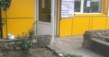 Коммерческое помещение 36 м² в Одесса, Украина