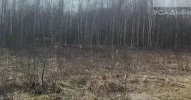 Terrain dans Ramensky District, Russie