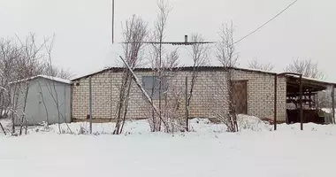 House in Padyhrussa, Belarus