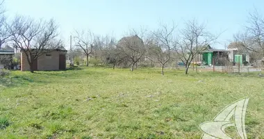 Plot of land in Matykalski sielski Saviet, Belarus