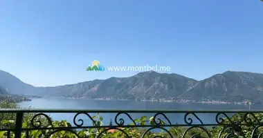 Wohnung 1 Schlafzimmer in Donji Orahovac, Montenegro