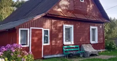 Дом в Дзержинский сельский Совет, Беларусь