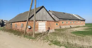 Commercial property 531 m² in Pajotuliai, Lithuania