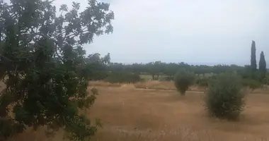 Apartment in Kouklia, Cyprus