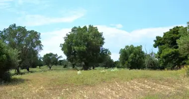 Terrain dans Kassandreia, Grèce