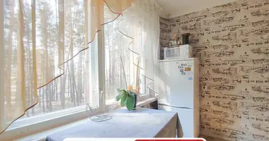 Квартира 1 комната в Минск, Беларусь